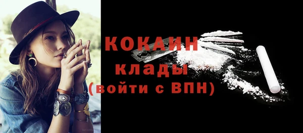 шишки Арсеньев
