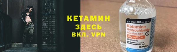 ГАЛЛЮЦИНОГЕННЫЕ ГРИБЫ Аркадак