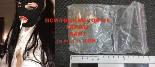 ГАЛЛЮЦИНОГЕННЫЕ ГРИБЫ Аркадак