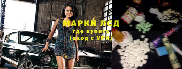 шишки Арсеньев