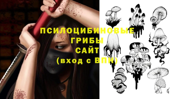 ГАЛЛЮЦИНОГЕННЫЕ ГРИБЫ Аркадак
