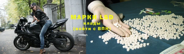 шишки Арсеньев